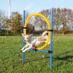 Trixie Agility - karika (ugró akadály) 115 cm × Ø 3 cm, Ø 65 cm (TRX3208)