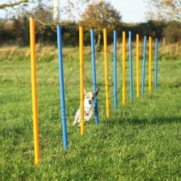 Trixie Agility - szlalom 115 × Ø 3 cm (TRX3206)