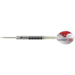 90% NT Stone Colin Lloyd 25g steel darts