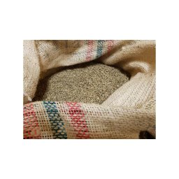 Colombia Excelso