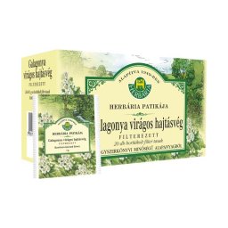 Herbária Galagonya virágos hajtásvég filteres tea 20x1g