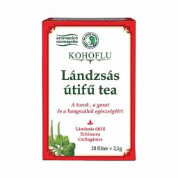 Dr. Chen Kohoflu Lándzsás útifű filteres tea 20x2,1g