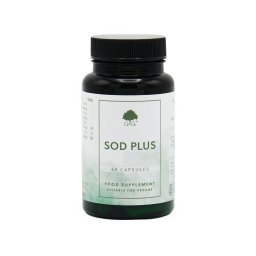 SOD plusz 60 kapszula – G&G