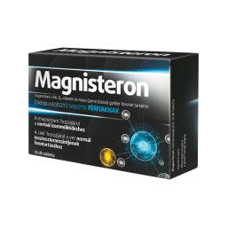 Magnisteron Magnézium tabletta férfiaknak 30x