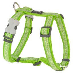 Red Dingo Daisy Chain Lime Dog hám Xlarge