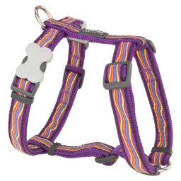Red Dingo Dreamstream Purple Dog hám Large
