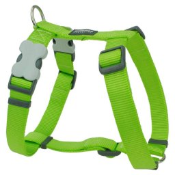 Red Dingo Lime Dog hám Large