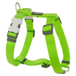 Red Dingo Lime Dog hám XS