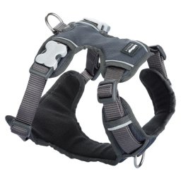Red Dingo Padded dog hám Grey Large