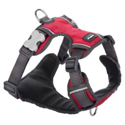 Red Dingo Padded dog hám Red Large