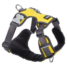 Red Dingo Padded dog hám Yellow Large