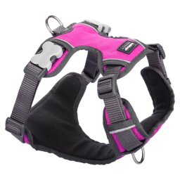 Red Dingo Padded dog hám Hot Pink Medium