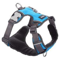 Red Dingo Padded dog hám Turquoise Medium
