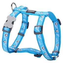 Red Dingo Penguin Turquoise Dog hám Medium
