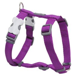 Red Dingo Purple Dog hám Medium