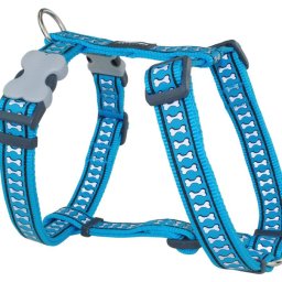 Red Dingo Reflective Turquoise Dog hám Large