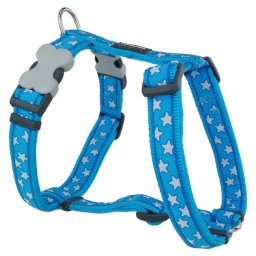 Red Dingo Stars Turquoise Dog hám Large