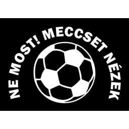 Tréfás Lábtörlő/ Ne most! Meccset nézek!