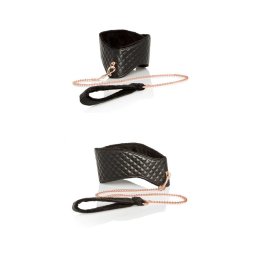 Posture Collar With Leash.