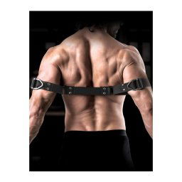 Sir Richards -Bicepsz bilincs.