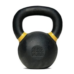 Toorx Pro Cross Evo kettlebell 10 kg