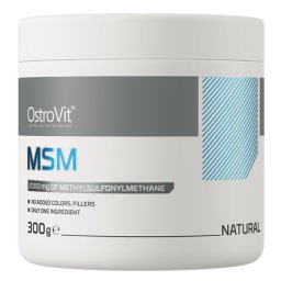 OstroVit MSM powder