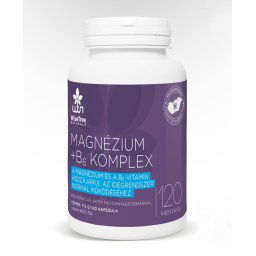 Wise Tree Naturals WTN Magnézium+B6 komplex kapszula 120 db