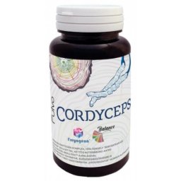Freyagena Fulvo Cordyceps kapszula 60 db