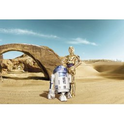 Star Wars poszter 8-484