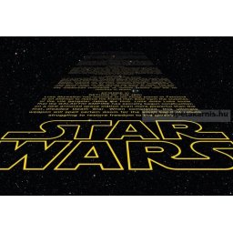 Star Wars poszter 8-487