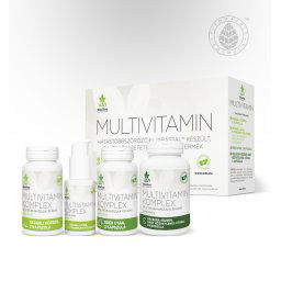 Wise Tree Naturals WTN Multivitamin Komplex 30 adag