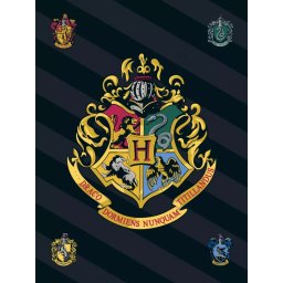 Harry Potter takaró Csíkos Logo