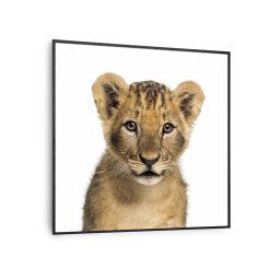 Klarstein Wonderwall Air Art Smart, infravörös hősugárzó, 60 x 60 cm, 350 W, oroszlán (HTR10-WAASm350WLinB)