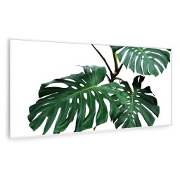 Klarstein Wonderwall Air Art Smart, infravörös hősugárzó, 120 x 60 cm, 700 W, zöld levél (HTR10-WAASm700WGnLfW)