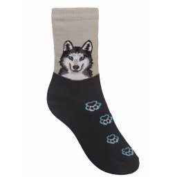 Husky arckép színes mancsokkal