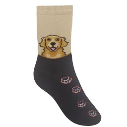 Golden Retriever arckép színes mancsokkal