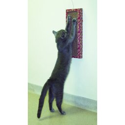 Cat Dancer Macskafal kaparó, macskaágy