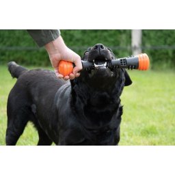 DOG-COMETS Meteor dobóbot tartós gumiból narancssárga L kutyajáték