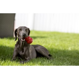 KONG Classic játék jutalomfalattal tölthető XS 5,7 cm kutyajáték