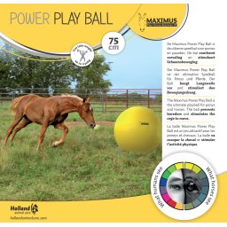 Maximus Power Play lólabda 75cm