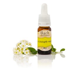 Bach Elsősegély csepp, 39-es - nagy kiszerelés, 30 ml
