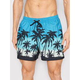 Quiksilver Úszónadrág Everyday Paradise 15" EQYJV03861 Kék Regular Fit