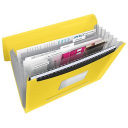 ESSELTE Harmonikamappa, A4, PP, 6 rekeszes, ESSELTE "Vivida", sárga
