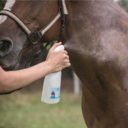 Ballistol Szúnyogriasztó spray lovaknak 750 ml