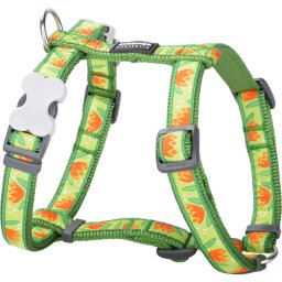 Red Dingo Tropical Green kutya hám Medium