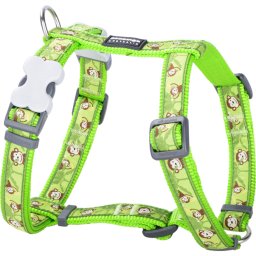Red Dingo Monkey Lime kutya hám Small