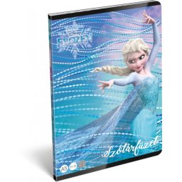 Szótár füzet - A5, (31-32) Frozen Magic
