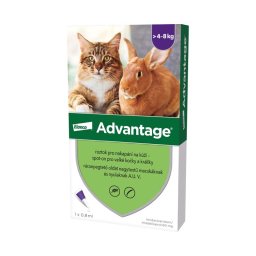 Advantage rácsepegtető oldat nagytestű macskáknak és nyulaknak (4-8 kg) A.U.V. 1x