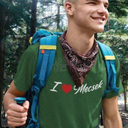 I Love Mecsek Póló