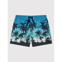 Quiksilver Úszónadrág Everyday Paradise 14" EQBJV03390 Kék Regular Fit